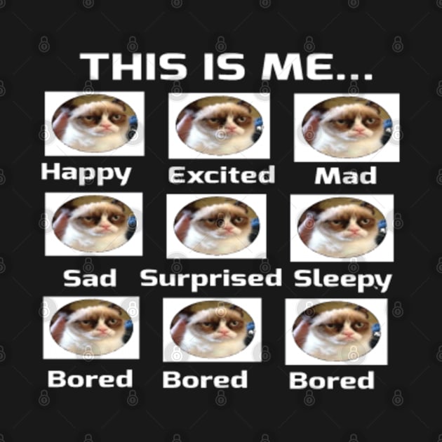 This is Me....Happy, Sad, Mad, Excited, Sleep, Bored, Bored, Bored by MissSassT's