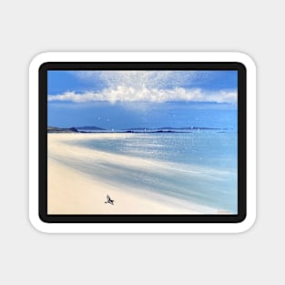 Apple tree bay oyster catcher Tresco Magnet