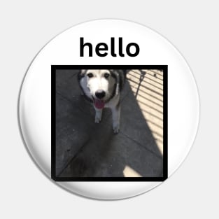 Cute Funny Silly Husky Dog Looking Up Hello Caption Pin