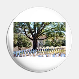 Wilmington National Cemetery Pin