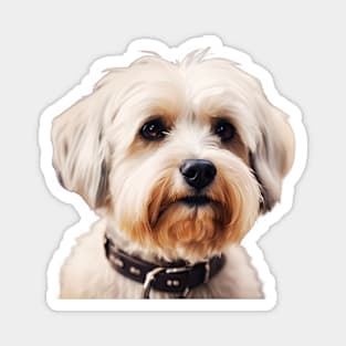 Dandie Dinmont Terrier Face Magnet