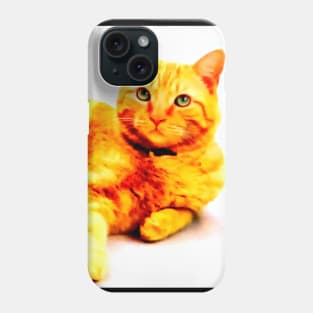 cheeseball the cat Phone Case