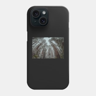 Snow in a Redwood Forest Phone Case