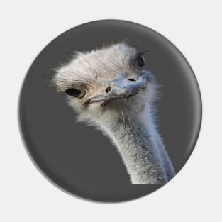 Ostrich Face With Gormless Expression Pin