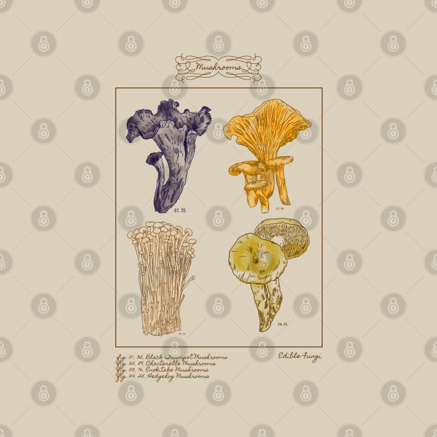 vintage illustration edible fungi by hunnydoll