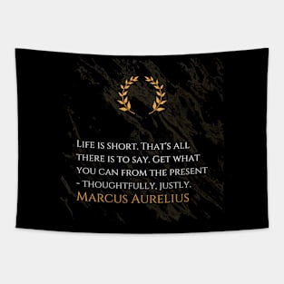 Marcus Aurelius's Imperative: Seizing the Essence of Life Tapestry