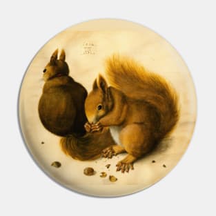 SQUIRRELS EATING NUTS, ANTIQUE ANIMAL DRAWINGS Pin