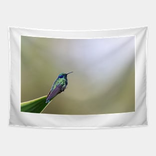 Green Violetear Hummingbird - Costa Rica Tapestry