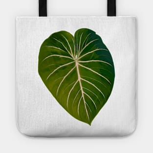 Philodendron gloriosum radiante Tote