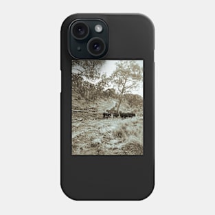 Cattle Country Phone Case