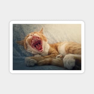 sleepy orange cat yawning Magnet