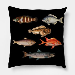 My Lucky Fishing Costume - Freshwater Fish Bass Pillow