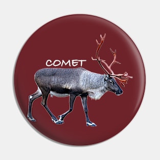 Comet Pin