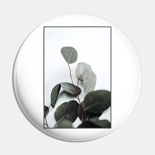 Plant Pin