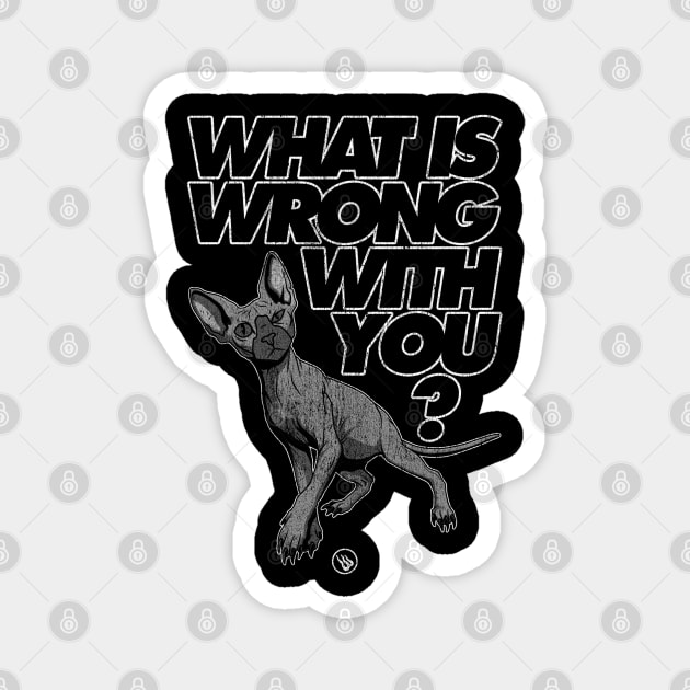 Curious Cat Magnet by Wrongteeshirt
