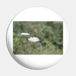 Queen Anne's Lace - Lomography Daguerreotype Lens Pin