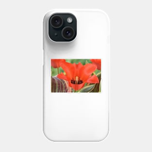 Tulipa  &#39;Fire of Love&#39;   Greigii Group  Tulip Phone Case