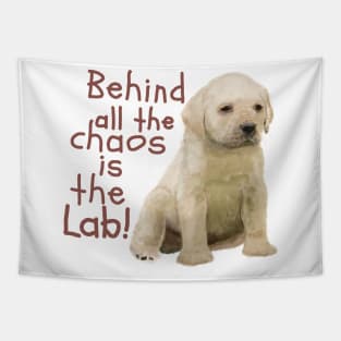 Behind all the Chaos is the Lab! Tapestry