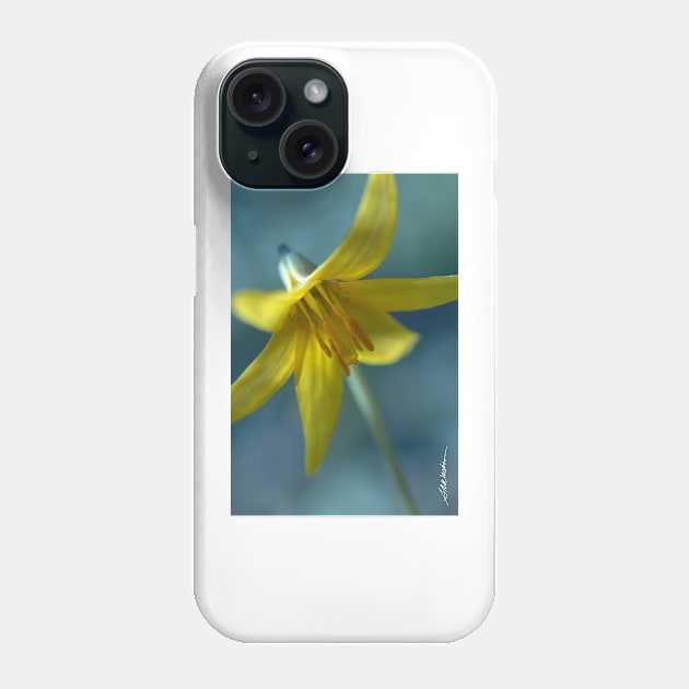 Vermont Trout Lily Phone Case by srwdesign