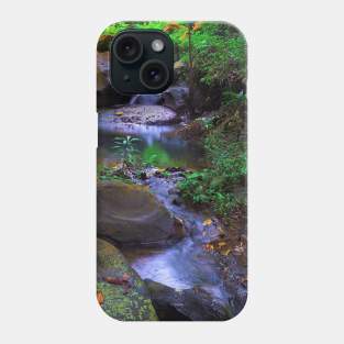 Mountain Stream Phone Case