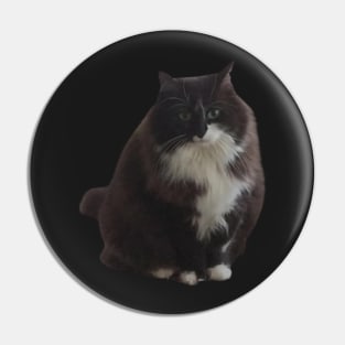 Fat cat Pin