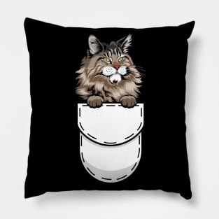 Funny Maine Coon Pocket Cat Pillow