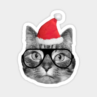 Cute fluffy tabby cat celebrating Christmas Eve Magnet