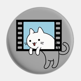 Cat Photo look outside Pin