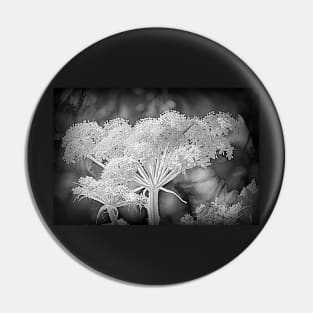 Cow Parsnip Infrared by Debra Martz Pin