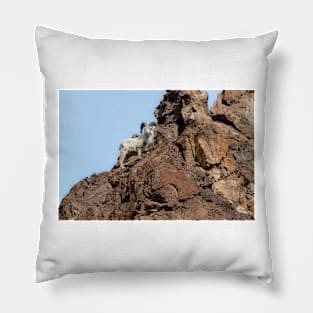 Dall Sheep Pillow