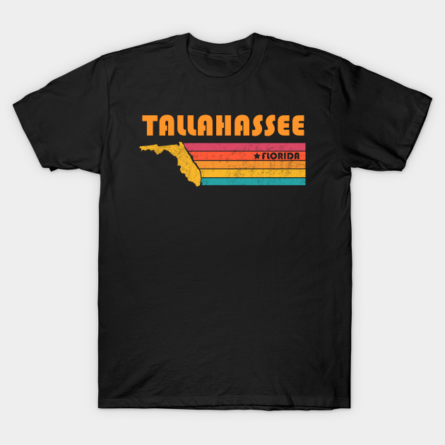 Discover Tallahassee Florida Vintage Distressed Souvenir - Tallahassee Florida - T-Shirt