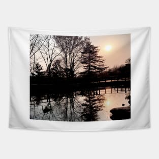 beauty of nature Tapestry