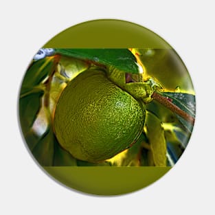 Bright Green Persimmon on the Tree Pin