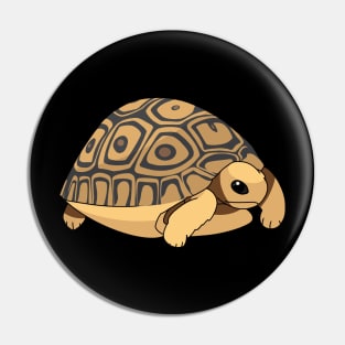 Cute leopard tortoise Pin