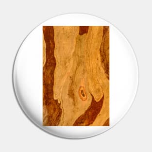 Bark Map 01 Pin