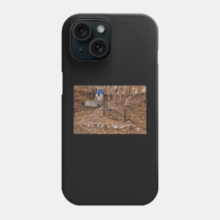 Rustic Blue Cap Castle Phone Case