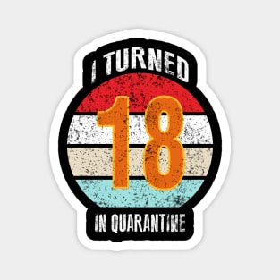 18th birthday in quarantine Magnet