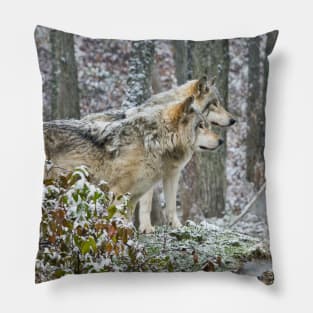 Timber Wolves In Snowstorm Pillow