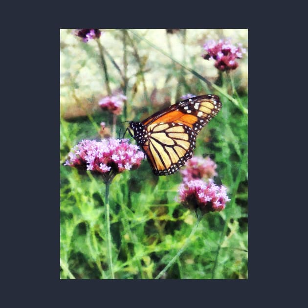 Butterflies - Monarch Butterfly on Pink Lantana by SusanSavad