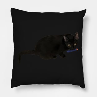 Black Cat Photo Pillow