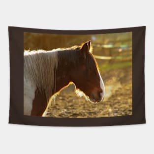 sunset horse Tapestry