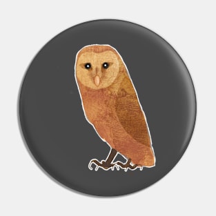 Owl Pin