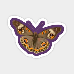 Common Buckeye Butterfly Magnet