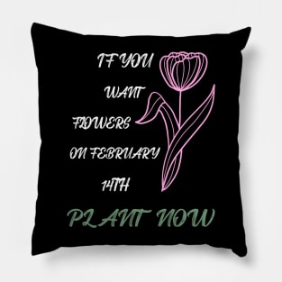 If you want flowers on february 14th plant now Pillow