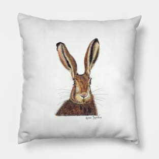 Hare Colour Pillow