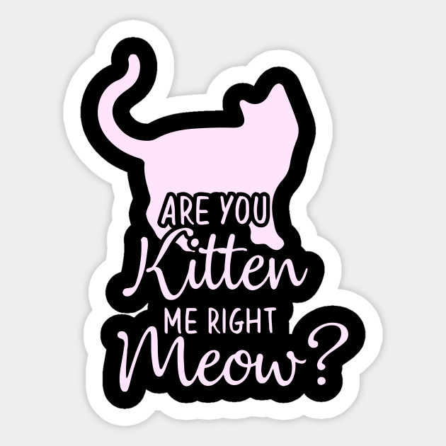 Funny Cat Phrase Are You Kitten Me Meow Cats Sticker Teepublic