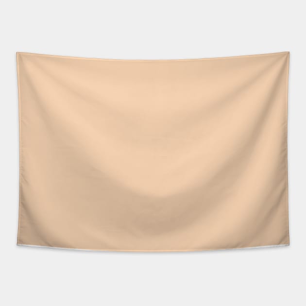 Mid Century Modern Pastel Peach Solid Tapestry by Whoopsidoodle