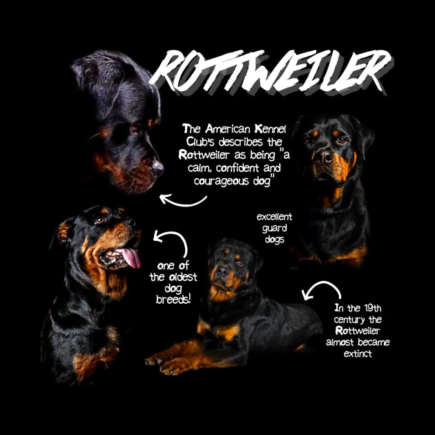 Rottweiler Fun Facts by Animal Facts and Trivias