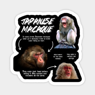 Japanese Macaque Fun Facts Magnet