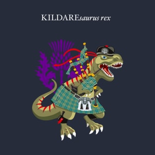 Clanosaurus Rex KILDAREsaurus Plaid Kildare Irish Ireland Family Tartan T-Shirt